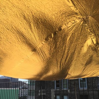 Sibilasoon, The Invisible Blanket, photography of the installation