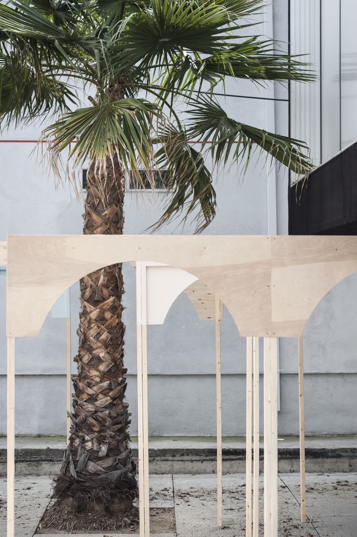 Artifacts of a Parallel Ecology*