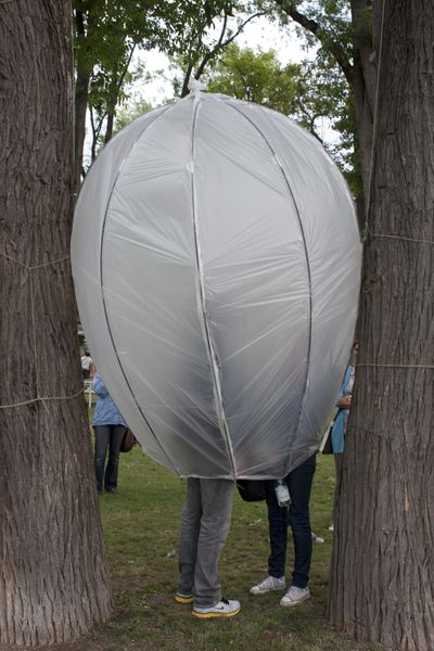 Oben im Baum7(C)M.Wachert