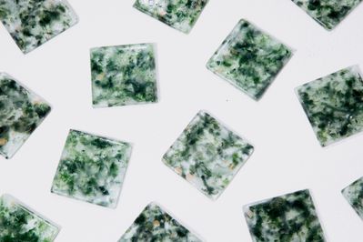 Forite tiles (Common Sands), Foto: Kjetil S. Andersen/OiOiOi