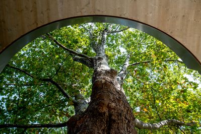 Salon Stolz, Architektursalon and su.n - spaceunit network