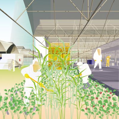 Projekt "Agro Commune" in Kenia von Office of Human Ressources