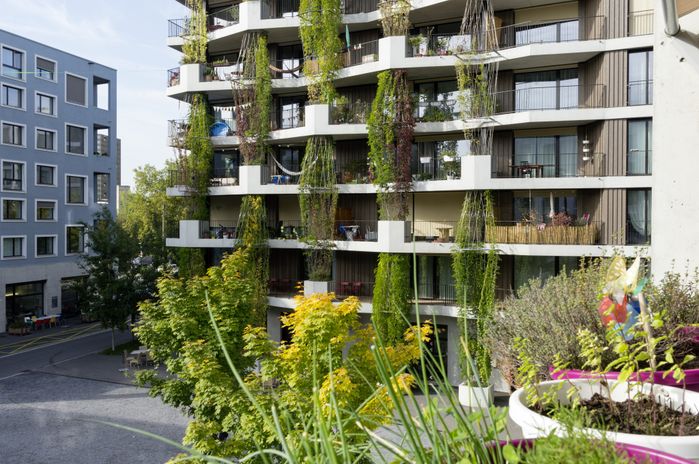 Hunziker Areal, Baugenossenschaft mehr als wohnen