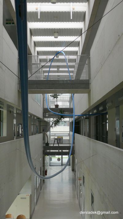 Installation von Marijke de Goey; Inffeldgründe TU Graz, Riegler Riewe Architekten