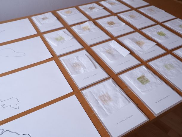 Grüne Blätter, braune Blätter, gelber Busch, Ast, Moos, rote Rosen