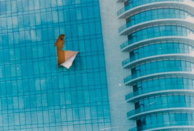 "We Apologize for the Temporary Inconvenience", 2018