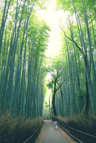 Kyoto. Vortrag von Junichi Owaki – Foto: Yoshio Tsutsumi
