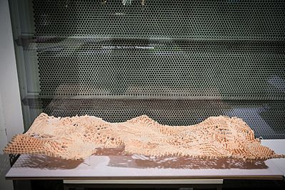 raggam_photography_MG_1389