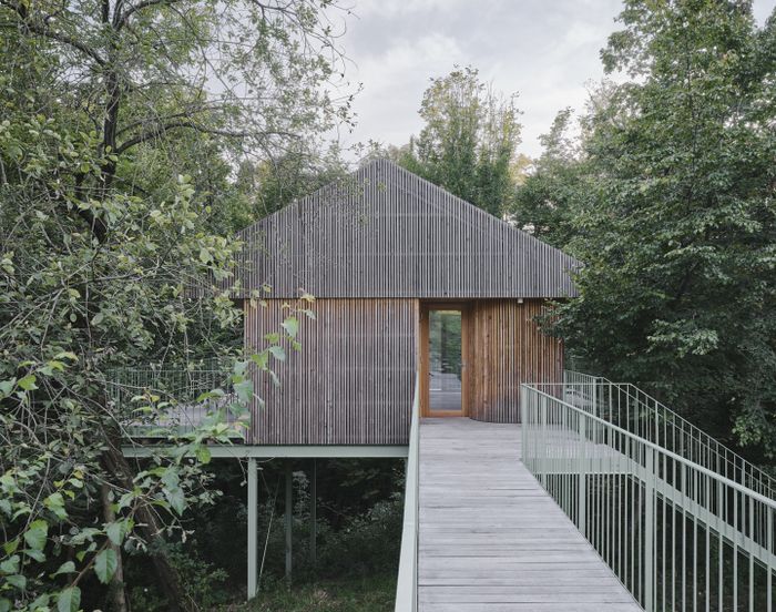 Baumhaus, konstruktiv – Studio für Architektur