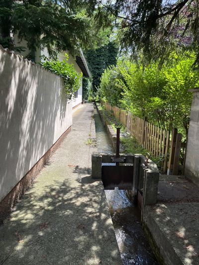 ORTE_Exkursion_ Von der Quelle bis zur Wiederaufbereitung_ Naturfilteranlage Reisenberg