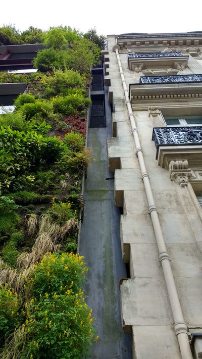 Miloš Kosec, The Emergence of the Reluctant Architect: ‘wall of vegetation’ designed by Patrick Blanc for the Museum Quai Branly in Paris