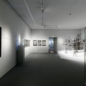 Museum im Palais