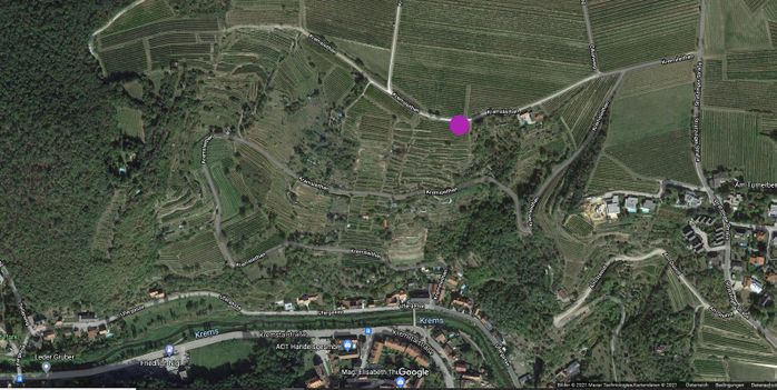 Weinberg am Kremser-Rehberg, Geodaten: 48.424110 / 15.600850