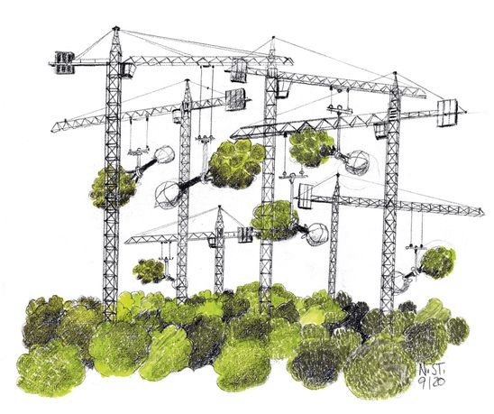 Illustration von Norbert Steiner